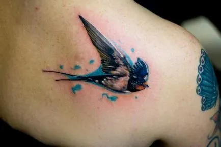 Tattoo nyelés érték és jelentése (érték) Tattoo fecske értékét és értelmét