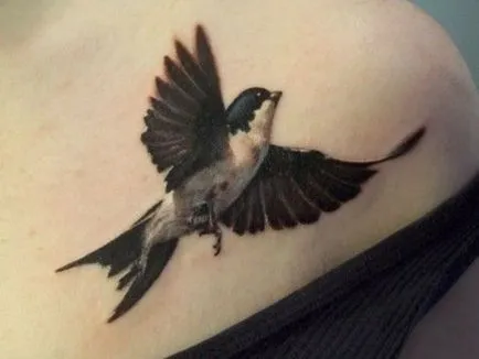 Tattoo fecske - érték tetoválás minták és képek