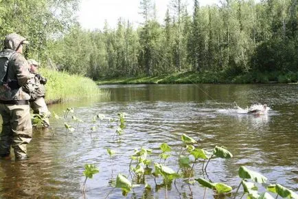 Pisztráng horgászat fonás (pisztráng halászat) Pisztráng horgászat a fonással