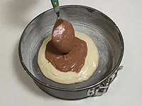 Zebra torta - a recept egy fotó