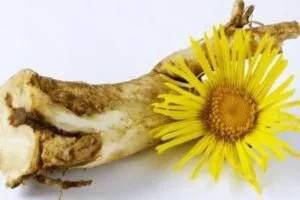 Treschiny a nyomában okait és kezelését otthon