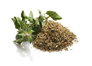 Mi oregano
