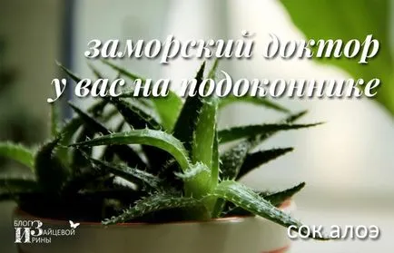 Mitől Aloe