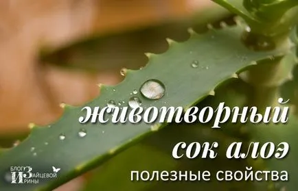 Mitől Aloe