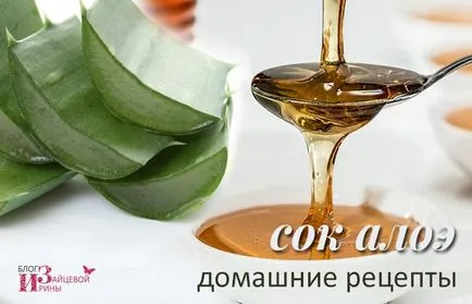Mitől Aloe