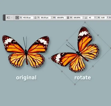 Megtanulják, hogyan kell forgatni tárgyakat a Photoshop - Photoshop alapok (forgatás) Megtanulják, hogyan kell forgatni tárgyakat a Photoshop - Photoshop alapok: