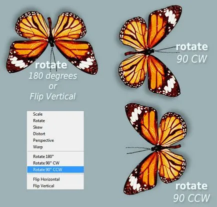 Megtanulják, hogyan kell forgatni tárgyakat a Photoshop - Photoshop alapok (használat) Megtanulják, hogyan kell forgatni tárgyakat a Photoshop - Photoshop alapok: