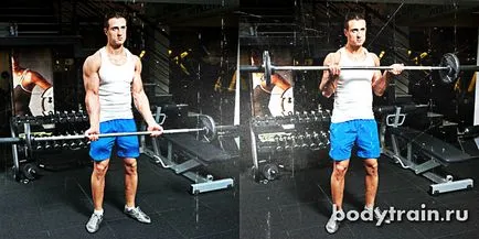 Gyakorlatok bicepsz, domború bicepsz milyen gyorsan (milyen gyorsan pumpálni a bicepsz) Gyakorlatok bicepsz, domború bicepsz milyen gyorsan