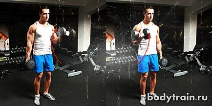 Gyakorlatok bicepsz, domború bicepsz milyen gyorsan (gyors) Gyakorlatok bicepsz, domború bicepsz milyen gyorsan