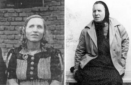 Wang - életrajz, fotók, személyes élet, előrejelzés