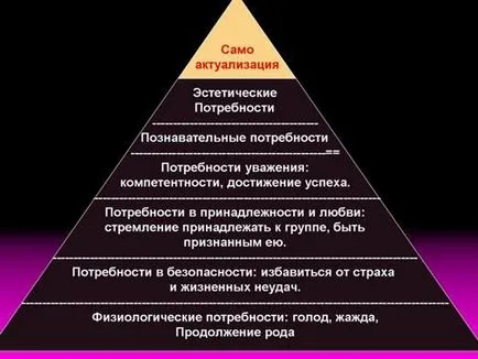 Milyen az embereknek szükségük van (itt lehet tulajdonítani) Milyen az embereknek szükségük van