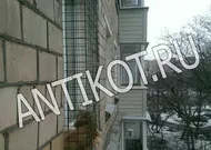 Paddock macska ablak (erkély) Moszkvában