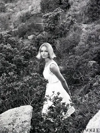 Veruschka, blogrockology