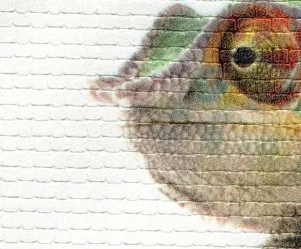 Típusai PhotoWall fotó