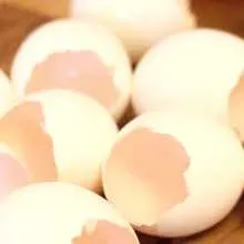 Palántanevelés uborka a tojáshéj, családi ház