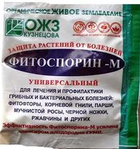 Lombon termékeny szobanövények, virágos-blog (csávázás) Lombon termékeny szobanövények, virágos-blog
