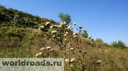 Keresve a kincseket egy ősi erődítmény, a világ egyik út (kincsek) Keresve a kincseket egy ősi erődítmény, utak a világ