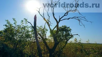 Keresve a kincseket egy ősi erődítmény, a világ egyik út (World) Keresve a kincseket egy ősi erődítmény, utak a világ