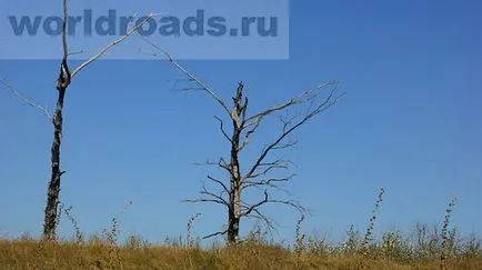 Keresve a kincseket egy ősi erődítmény, a világ egyik út (keresve kincs) Keresve a kincseket egy ősi erődítmény, utak a világ