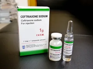 Bevezetés A ceftriaxon izomba felnőttek, hogyan vágjuk, és bevezette a gyógyszer kapszula (felnőtt) Bevezetés A ceftriaxon izomba felnőttek, hogyan vágjuk, és bevezette a gyógyszer kapszula