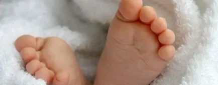 A találkozó érdekes ötletet a kórház, hogy megfeleljen az újszülött otthon, ünnep újra! (Ülések) A találkozó érdekes ötletet a kórház, hogy megfeleljen az újszülött otthon, ünnep újra!
