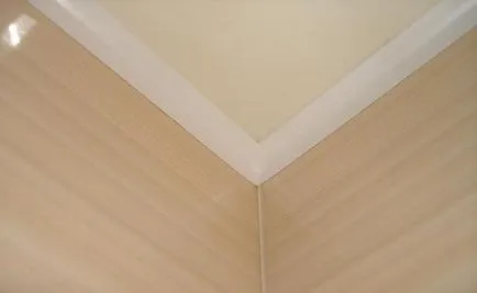 Betét álmennyezetek Dekoratív képek, behelyezése fal, videó, installáció szögek, típusai