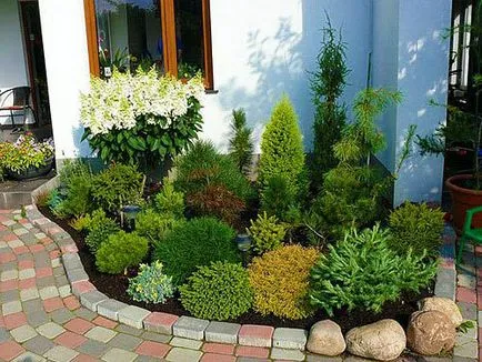 Tűlevelűek a kertben és a design fotók és ötletek példák használata tűlevelűek (fotó) Tűlevelűek a kertben és a design fotók és ötletek példák használata tűlevelűek