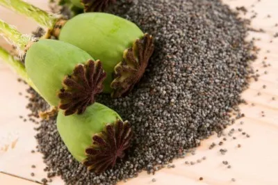 Összeesküvés elfelejteni egy szeretett, és megállítani vágyódás (összeesküvés) Összeesküvés elfelejteni egy szeretett, és megállítani vágyódás