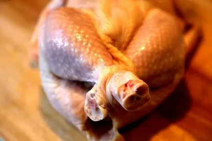 Kitöltése baromfi főzés a zsebben (recept fotókkal) baromfi öltözködés a sütéshez a zsebében