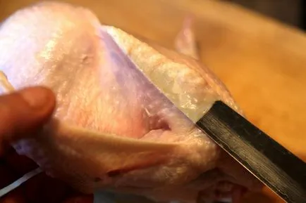 Kitöltése baromfi főzés a zsebben (recept fotókkal) baromfi öltözködés a sütéshez a zsebében