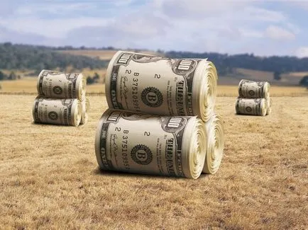 Land részvény - mi ez, a regisztráció, a szerződés, bérlet és eladás