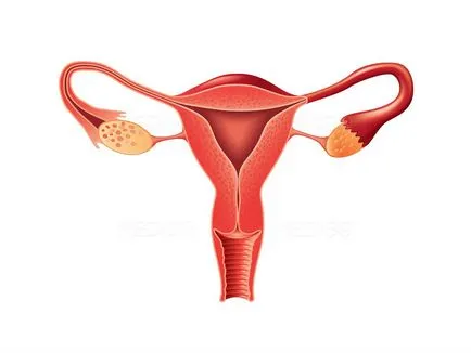 Nő sterilizálás - költségekre vonatkozó információt, a szakértők (a legalkalmasabb klinika) Nő sterilizálás - a költségek információk, szakértők