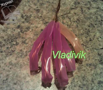 Zhik műanyag palackok, sün palackok (műanyag) Zhik műanyag palackok, üvegek sün