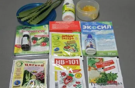 Mi a teendő a kertben tavasszal