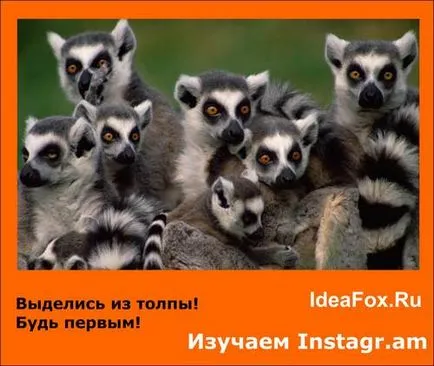 Insagram meg