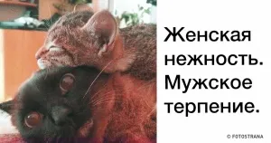 10 ínycsiklandó receptek tészta