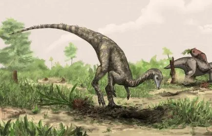 10 hihetetlen tanúvallomások az evolúció a földi élet