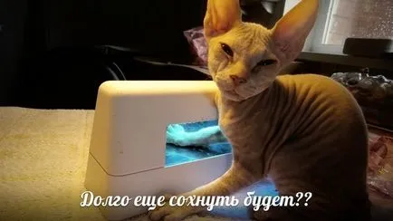 50 legviccesebb képek kéz-