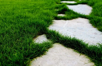 Beton pálya az ország saját kezűleg (jövőbeni kerti beton) Beton pálya az ország saját kezűleg