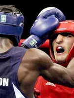 Boxer - Boxer szakma