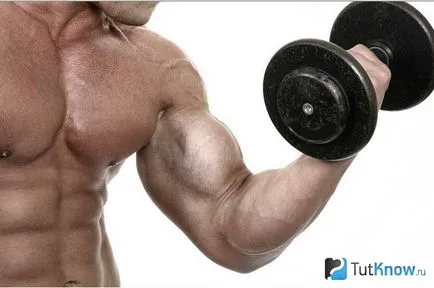 Gyors képzés bicepsz otthon