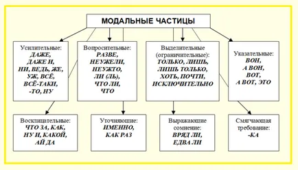 A részecskék a magyar nyelv - ami van, a részecskék a magyar nyelv