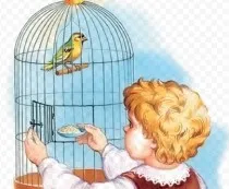 Siskins az otthoni és a madarak etetése
