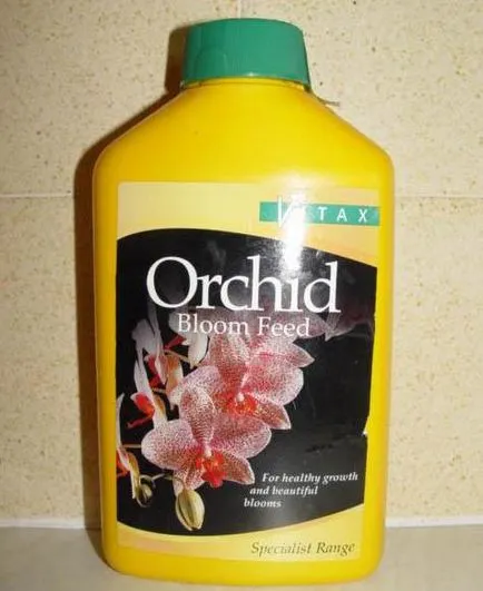 A takarmány orchideák otthon