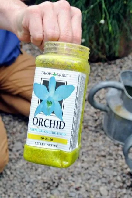 A takarmány orchideák otthon