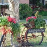 Virágágyás - 100 ötleteket, hogyan lehet díszíteni a fotók részben (Fotók) Virágágyás - 100 ötleteket arra, hogyan díszítik a fotó rész