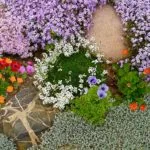Virágágyás - 100 ötleteket, hogyan lehet díszíteni a fotók részben (Fotók) Virágágyás - 100 ötleteket arra, hogyan díszítik a fotó rész
