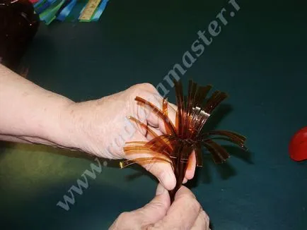 Virágok a műanyag p class