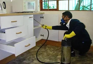 Rágcsálók irtása és mi az, eszközök és módszerek kezelésére (fertőtlenítés fertőtlenítés) Rágcsálóirtás, rovarirtás, rágcsálóirtás, mi ez, azt jelenti, és kezelési eljárások