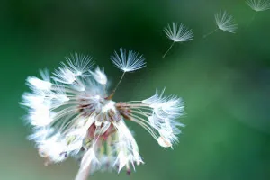 Breath - alapján a beszéd technológia lesz a rádió műsorszolgáltató, hogy a rádióban, dolgozó rádió - kap levegőt (rádió) Breath - alapján a beszéd technológia lesz a rádió műsorszolgáltató, hogy a rádióban, dolgozó rádió - kap a levegő
